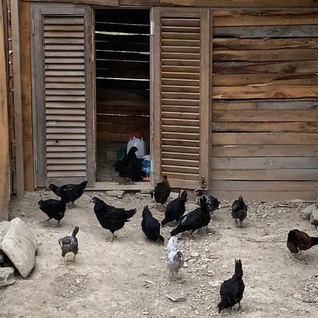 호텔 Maison Hill Hobbit & Boutique