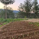 Mesona Hill Otel Antalya