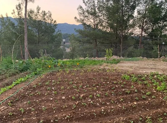 Mesona Hill Ξενοδοχείο Αττάλεια