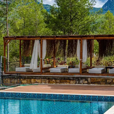 Maison Hill Hobbit & Boutique *