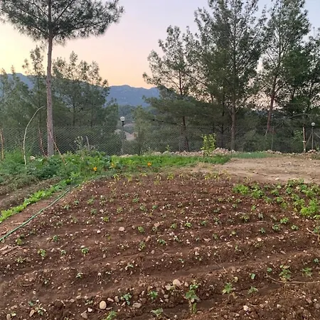 Maison Hill Hobbit & Boutique Szálloda Antalya